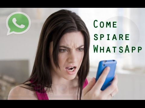 Scopri chi parla con te su WhatsApp gratuitamente: i migliori metodi